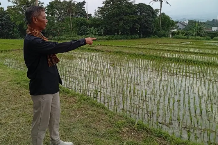 DKPP Lakukan Pendataan Ulang LP2B, Ada Penambahan Lahan 40 Hektare