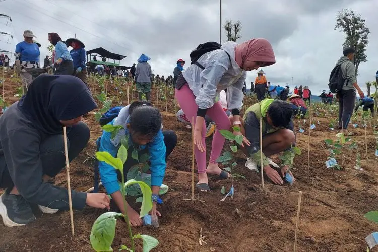 Ribuan Orang Beragam Komunitas di Pangalengan Terlibat dalam Aksi Penanaman Kembali di Lahan PTPN