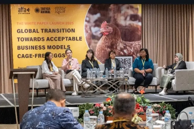 Organisasi Non Profit Global,   Pemerintah, Akademisi dan Aktivis Bahas Transisi Model Bisnis Telur Bebas Sangkar di Indonesia, Malaysia, dan Thailand