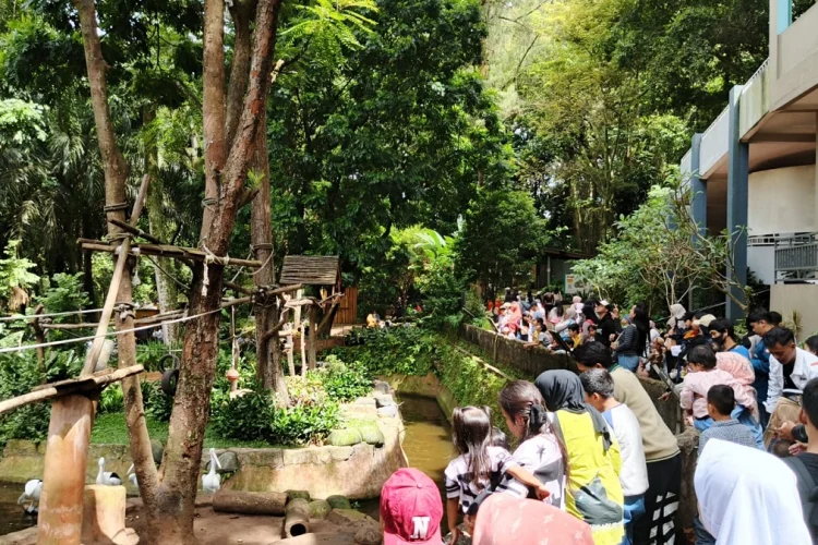 Bandung Zoo Dibuka Gratis saat Libur Nataru, Pengunjung Mulai Berdatangan