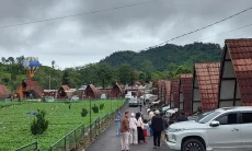 Libur Nataru dan Libur Sekolah Objek Wisata Dusun Stroberi di Rancabali Kunjungannya Naik 30 Persen