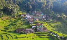 Mengenal Kecamatan Cisewu Garut: Wilayah Pegunungan Subur dengan Potensi Pertanian Unggulan