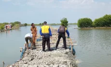 Bertahun-tahun Kuwu dan Warga Ambulu Cirebon Berjuang Hadapi Bencana Banjir Rob