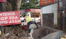 Biar Rapi, DLH Kota Bogor Tertibkan TPS di Jalan Protokol