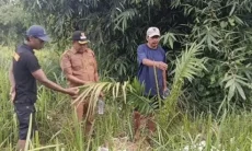 Viral Karena Sawit, Ini Asal-usul Desa Cigobang dari Perjalanan Pangeran Silih Asih