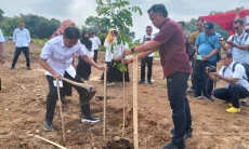 Antisipasi Banjir Bandang, Tanah Pemkab Cirebon di Perumahan City Land Sumber Ditanami Pohon