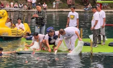 Pertama di Dunia! Bos Koi Hartono Tebar Ikan Koi Kelas Sultan ke Situ Cipanten Majalengka 