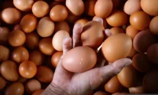 Update Harga Pangan Hari Ini, Cabai Rawit Merah Rp49.150 Telur Ayam Rp31.500 per Kilogram