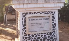 Menilisik Sejarah Taman Junghuhn, Saksi Bisu Perlawanan Terhadap Malaria