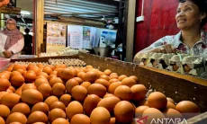 Harga Ayam dan Telur Naik Usai MBG Aktif Lagi, DKPP Jabar Waspadai Hortikultura
