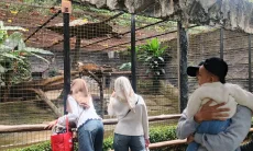 Bandung Zoo di Persimpangan: Karyawan dan Pengunjung Suarakan Harapan di Tengah Wacana Perubahan