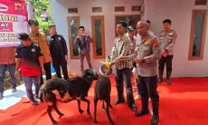 Tak Hanya Renovasi Rumah Anak Yatim Piatu, Polda Jabar Beri Bantuan 2 Ekor Kambing