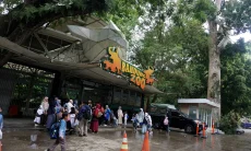 Dua Harimau Mati di Kebun Binatang Bandung, DPRD Kota Bandung Desak Evaluasi Total