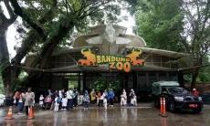 Tunggu Kajian, Kebun Binatang Bandung Berpeluang Buka Saat Lebaran 2026