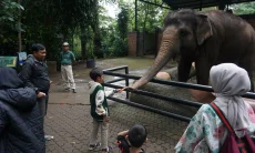 Bandung Zoo Lakukan Treatment dan Pengayaan Lingkungan untuk Cegah Stres Satwa