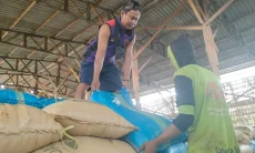 Gaji Bisa Lebih Besar dari UMK, PT Sumatraco Masih Jadi 'Oase' Warga Desa Santing Losarang
