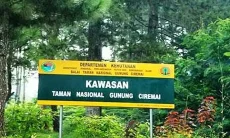 Alih Fungsi Lahan di TNGC Sudah Lama Terjadi, Walhi Jabar Desak Dedi Mulyadi Lakukan Penertiban