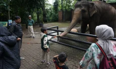 Kebun Binatang Bandung Tanggapi Dugaan Stres Satwa dengan Sistem Pemberian Makan Variatif
