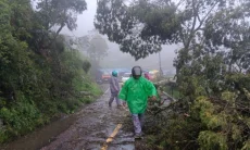 Hujan Deras Dibarengi Angin Kencang, Sejumlah Pohon Tumbang di Jalan Raya Patenggang Rancabali