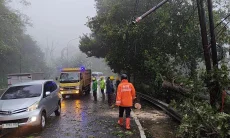 Puncak Macet Panjang Lantaran Hujan dan Angin Kencang Tumbangkan Sejumlah Pohon