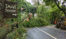 Rumpun Bambu Runtuh, Jalan Kolmas Lumpuh