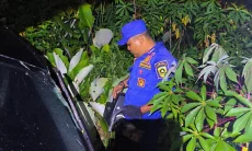 Sopir Microsleep, Mobil Toyota Sienta Terperosok ke Kebun Singkong di Jalan Bomang