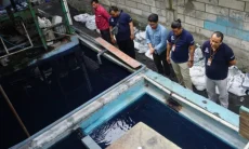 Ribuan Ikan Mati di Situ Citongtut, DLH Kabupaten Bogor Uji Sampel Air IPAL 23 Pabrik