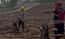 Mengenal K9 Polisi, Anjing Pelacak Pencari Korban Longsor Pasirlangu Bandung Barat