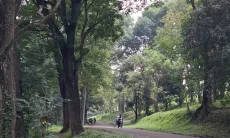 Farhan Sebut RTH Jadi Strategi Utama Mitigasi Longsor di Kawasan Bandung Utara