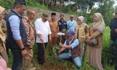 Selain Penghijauan, 2.000 Pohon CSR bjb Jadi PADes Mekarwangi