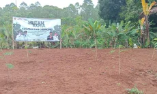 Luas Hutan Kota di Cibinong Bertambah jadi 2,7 Hektare