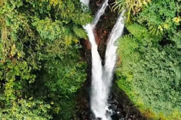 Curug Ciherang Puncak 2 Sukamakmur, Wisata Air Terjun di Tengah Pegunungan Bogor