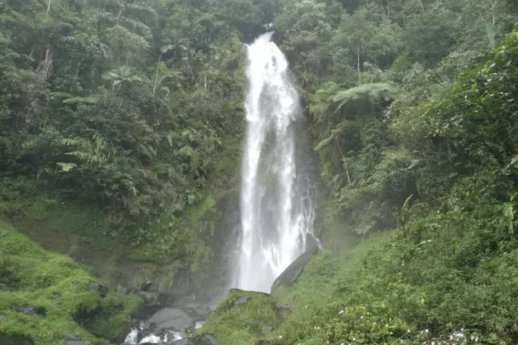 Deretan Air Terjun Eksotis di Cisewu Garut, Surga Wisata Alam yang Cocok untuk Healing