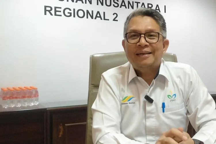 PTPN 1 Regional 2 Percepat Pemulihan Penamaman Teh di Perkebunan Malabar