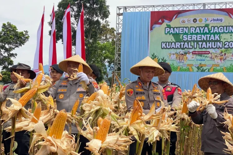 Polres Cimahi Hasilkan 20 Ton Jagung, Polda Jabar Sabet Peringkat 4 Nasional