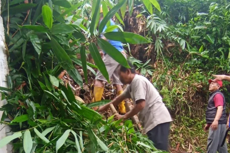 Longsor di Mulyaharja, Bocah Laki-laki Tertimbun Reruntuhan Rumpun Bambu