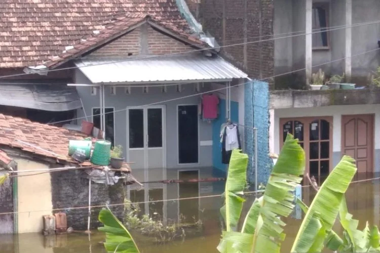 Hampir Seribu Rumah di Kudus Terdampak Banjir