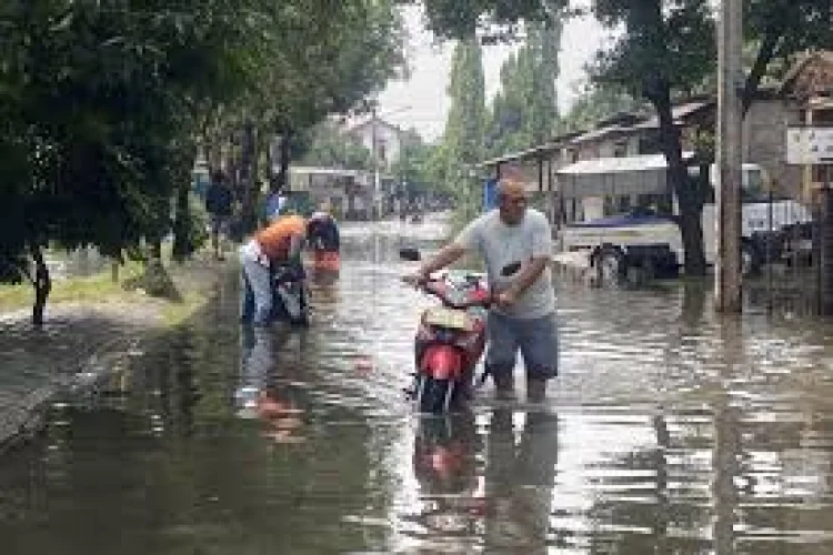 Cuaca Ekstrem, BPBD Bekasi Minta Warga Waspada Banjir dan Pohon Tumbang