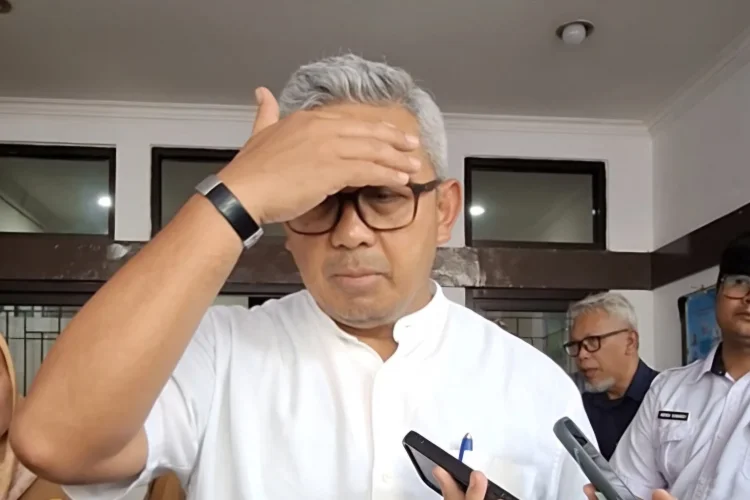 Farhan Dorong Penanganan Kucing Liar Lewat Sterilisasi dan Titik Pemberian Makan