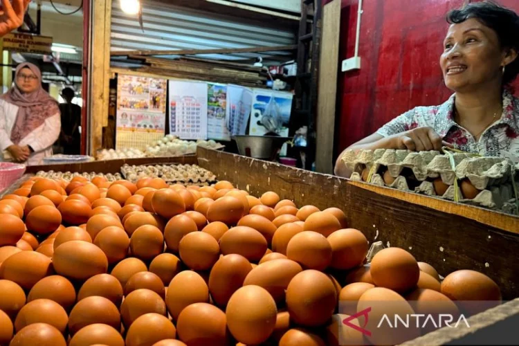 Harga Ayam dan Telur di Jabar Naik, DKPP Sebut Masih Terkendali