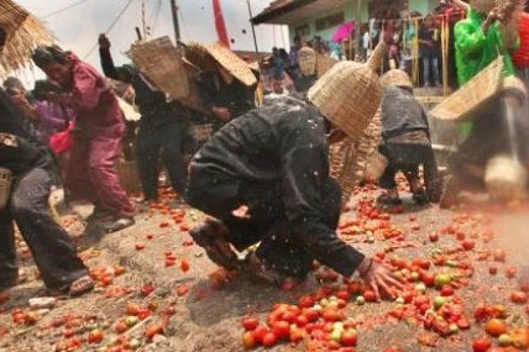 Menelisik Makna di Balik Perang Tomat Lembang, Dari Derita Petani Menjadi Sajian Kesenian yang Berjiwa