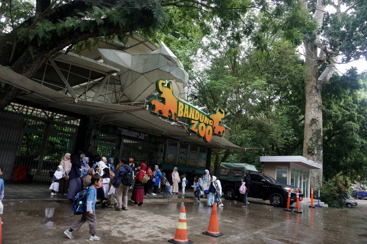 Bandung Zoo Dapat Pengelola 29 Mei, Farhan: Apabila Gagal Diambil Pemerintah Pusat