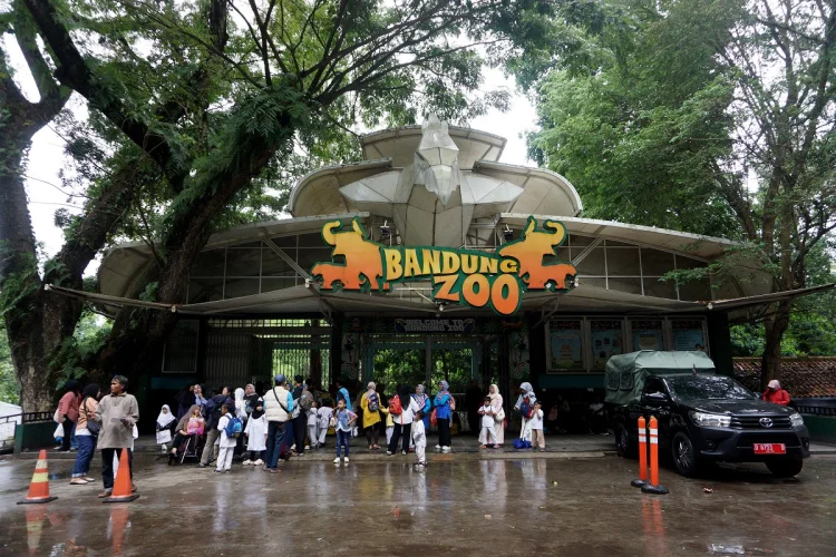 Tunggu Kajian, Kebun Binatang Bandung Berpeluang Buka Saat Lebaran 2026