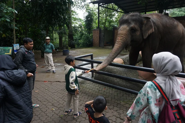 Farhan Terima Masukan Ahli Soal Kabar Satwa Diduga Stres di Bandung Zoo