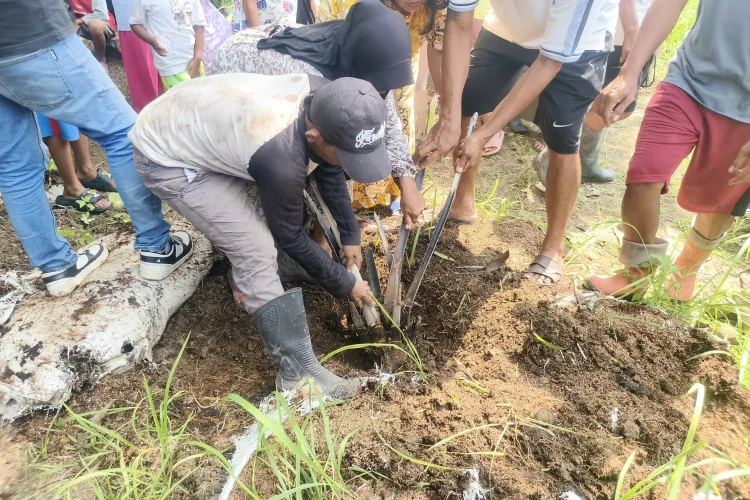 Kecewa Janji Tak Kunjung Ditepati, Warga Desa Cigobang Suarakan Cabut Sawit