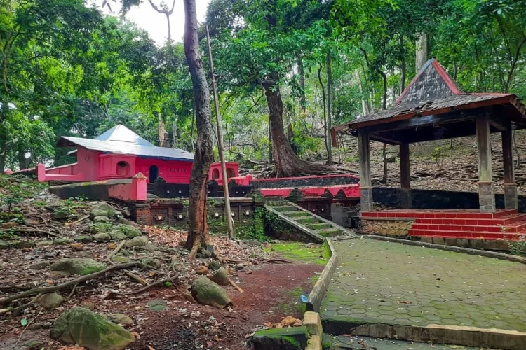 Bukit Plangon Terancam, Galian Trusmi Land Diduga Picu Banjir di Sumber