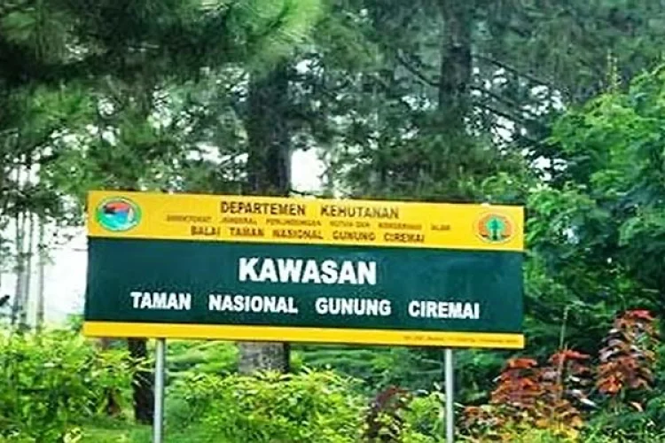 Alih Fungsi Lahan di TNGC Sudah Lama Terjadi, Walhi Jabar Desak Dedi Mulyadi Lakukan Penertiban