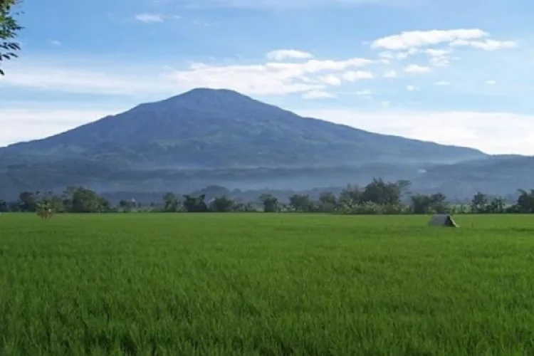 Koordinasi Pemprov Jabar Belum Optimal, Dedi Mulyadi Diminta Atasi Tambang Ilegal di TNGC