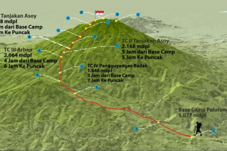 Mengenal Jalur Palutungan, Jalur Favorit Pendaki di Taman Nasional Gunung Ciremai