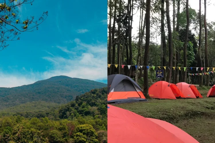 Rekomendasi Tempat Camping di TNGC Kuningan, View Langsung ke Gunung Ciremai